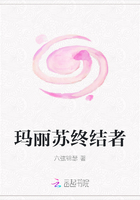 玛丽苏终结者