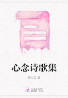 心念诗歌集