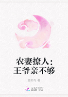 农妻撩人：王爷亲不够