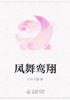 凤舞鸾翔