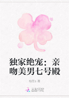 独家绝宠：亲吻美男七号殿
