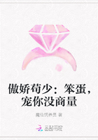 傲娇苟少：笨蛋，宠你没商量