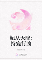 妃从天降：持宠行凶