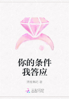 你的条件我答应