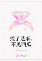 捡了芝麻，不见西瓜