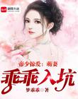帝少掠爱：萌妻乖乖入坑