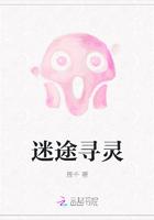 迷途寻灵