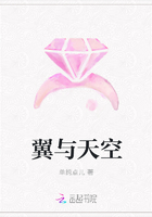 翼与天空