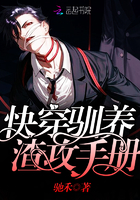 快穿：驯养反派手册