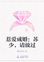 惹爱成婚：苏少，请放过