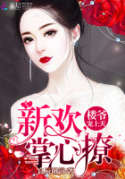楼爷宠上天：新欢，掌心撩
