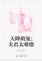天降萌宠：夫君太难撩