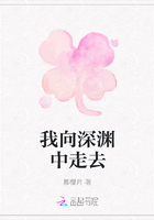 我向深渊中走去