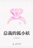 总裁的狐小妖