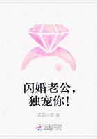闪婚老公，独宠你！