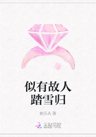 似有故人踏雪归