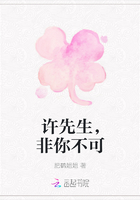许先生，非你不可