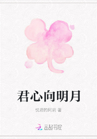 君心向明月
