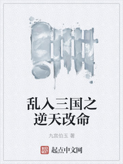 乱入三国之逆天改命