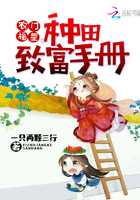农门福星：捡个正太来种田