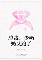 总裁，少奶奶又跑了