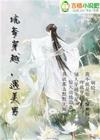 坑爹穿越，遇美男