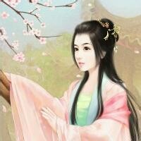穿越之冰夏国