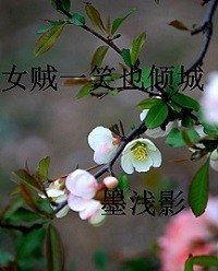女贼一笑也倾城精编版