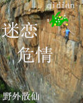 迷恋危情