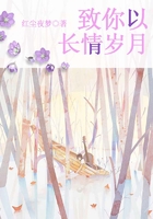 致你以长情岁月