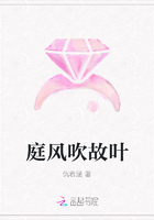 庭风吹故叶