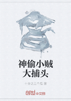 沈小贼断案录