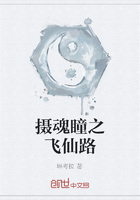 摄魂瞳之飞仙路