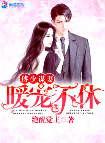 傅少谋妻：暖宠不休