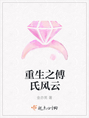 重生之傅氏风云