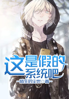 这是假的系统吧