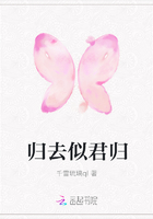 归去似君归