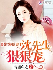 难缠娇妻：沈先生，狠狠宠