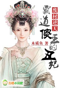 废材逆天，霸道傻王的丑妃