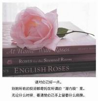 爱转身是伤