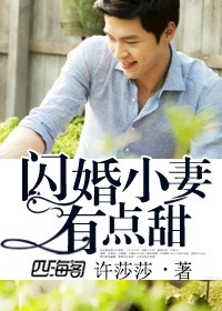 闪婚小妻有点甜