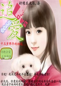 追爱