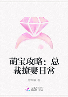 萌宝攻略：总裁撩妻日常