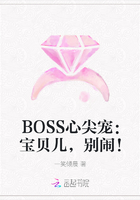 BOSS心尖宠：宝贝儿，别闹！