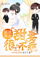 婚途有宝：甜妻，很不乖