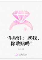一生赌注：就我，你敢赌吗！