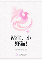 站住，小野猫！