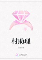 村助理