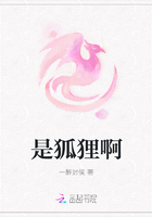 是狐狸啊