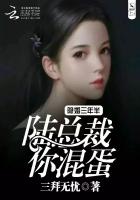 隐婚三年半：陆总裁，你混蛋！